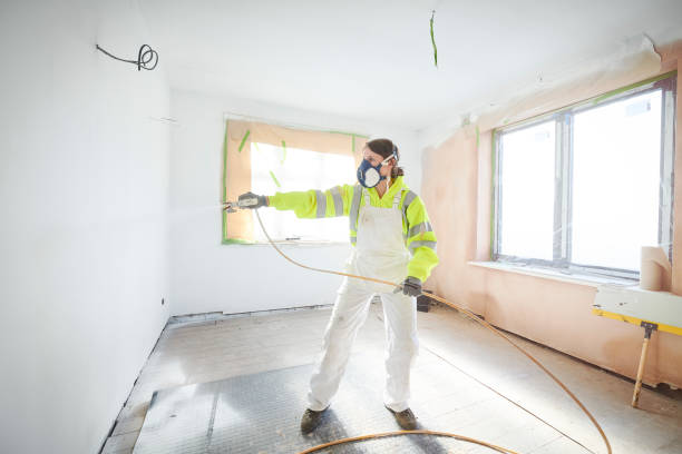 Best Mold Damage Restoration  in Old Hill, CT