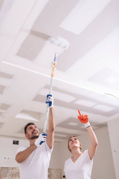 Mold Odor Removal Services in Old Hill, CT