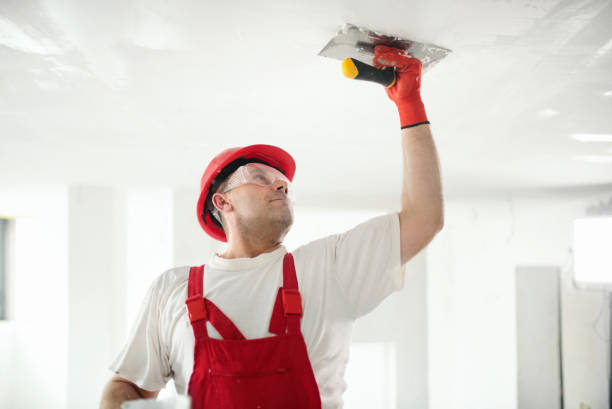 Best Comprehensive Air Testing for Mold Contaminants  in Old Hill, CT