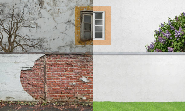 Best Real Estate Mold Inspection  in Old Hill, CT